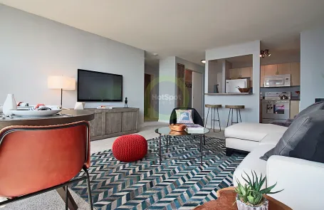 1 Bedroom South Loop Apartment