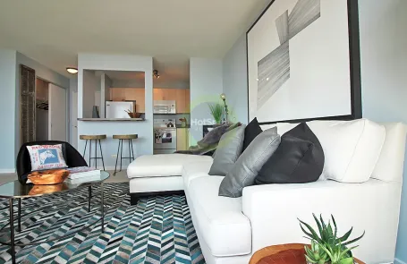 1 Bedroom South Loop Apartment