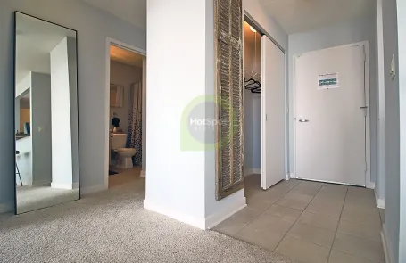 1 Bedroom South Loop Apartment
