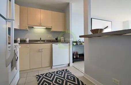 1 Bedroom South Loop Apartment