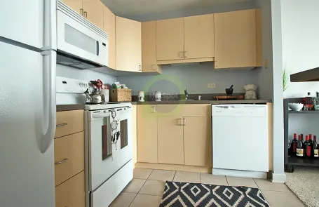 1 Bedroom South Loop Apartment