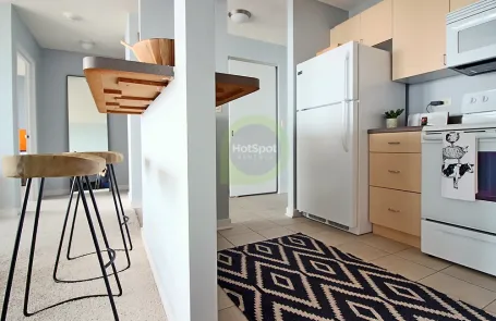 1 Bedroom South Loop Apartment