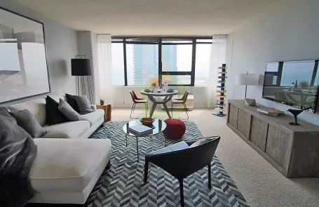 1 Bedroom South Loop Apartment