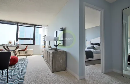 1 Bedroom South Loop Apartment