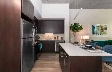 2 Bedroom South Loop Apartment