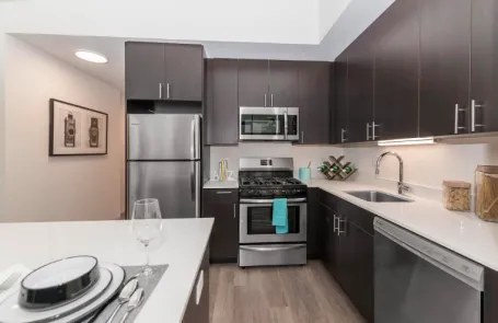 2 Bedroom South Loop Apartment