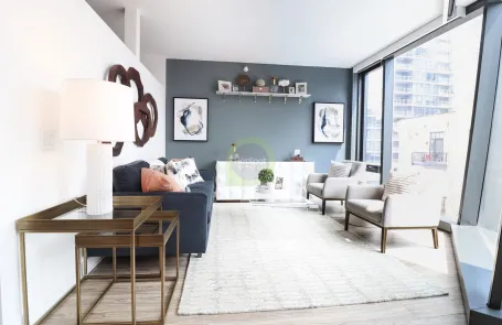 1 Bedroom South Loop Apartment