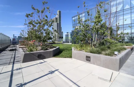 1 Bedroom South Loop Apartment