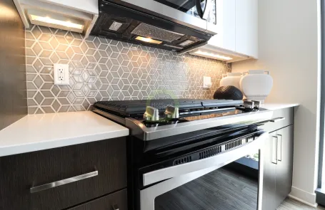 1 Bedroom South Loop Apartment