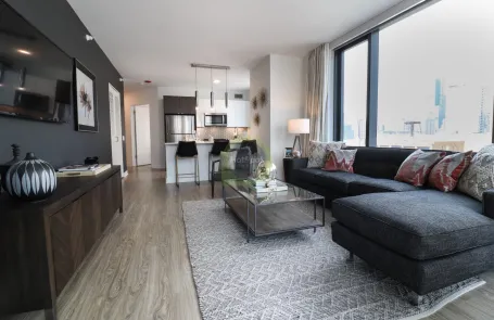 1 Bedroom South Loop Apartment