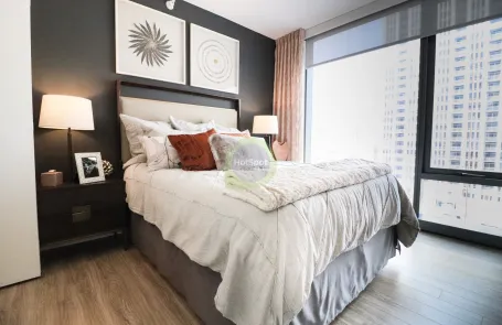1 Bedroom South Loop Apartment