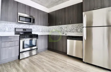1 Bedroom South Loop Apartment