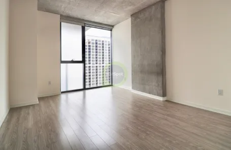 1 Bedroom South Loop Apartment