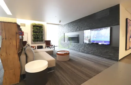 1 Bedroom South Loop Apartment