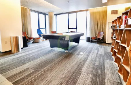 1 Bedroom South Loop Apartment