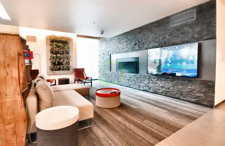 1 Bedroom South Loop Apartment