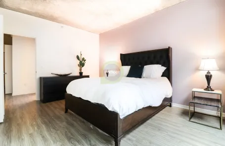 1 Bedroom South Loop Apartment