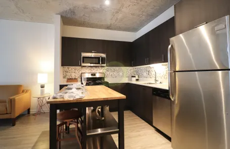 1 Bedroom South Loop Apartment