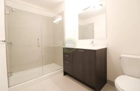 1 Bedroom South Loop Apartment