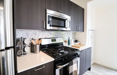 2 Bedroom South Loop Apartment