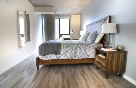 2 Bedroom South Loop Apartment