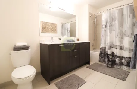 2 Bedroom South Loop Apartment