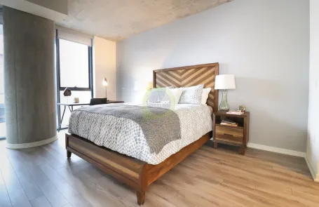 2 Bedroom South Loop Apartment