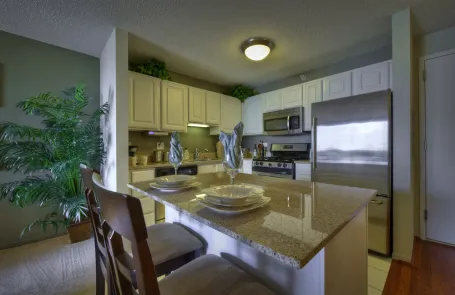1 Bedroom River North Apartment