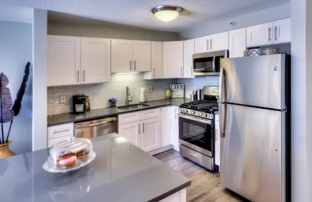 1 Bedroom River North Apartment