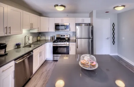 1 Bedroom River North Apartment