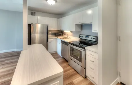 Studio South Loop Apartment