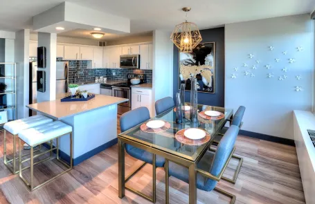 1 Bedroom South Loop Apartment