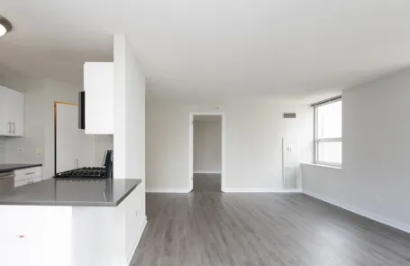 2 Bedroom River North Apartment