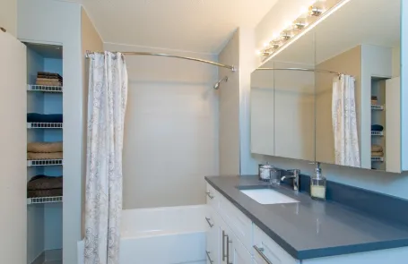 1 Bedroom River North Apartment