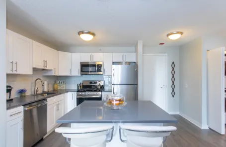 1 Bedroom River North Apartment