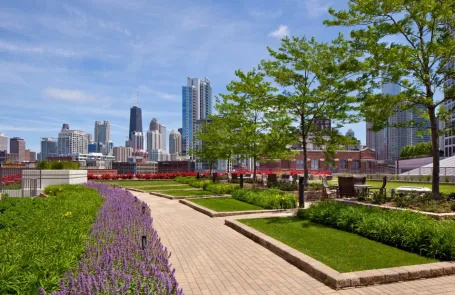 1 Bedroom River North Apartment