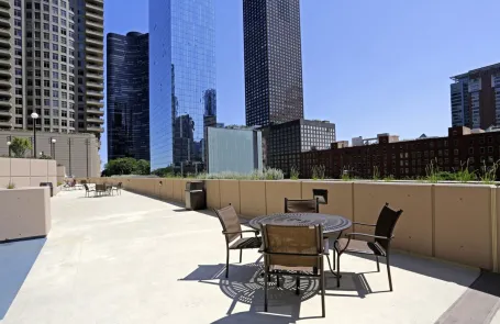 1 Bedroom Streeterville Apartment