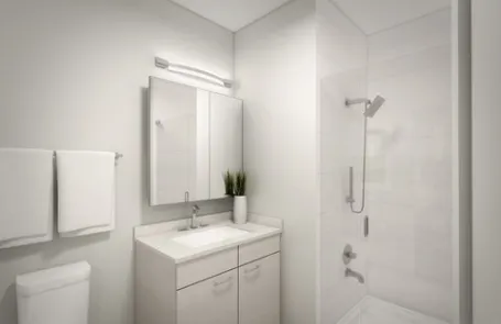 1 Bedroom Chicago Loop Apartment
