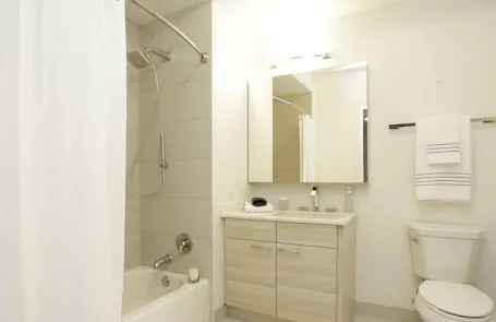 1 Bedroom Chicago Loop Apartment
