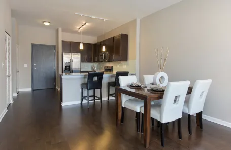 1 Bedroom South Loop Apartment