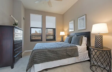1 Bedroom South Loop Apartment