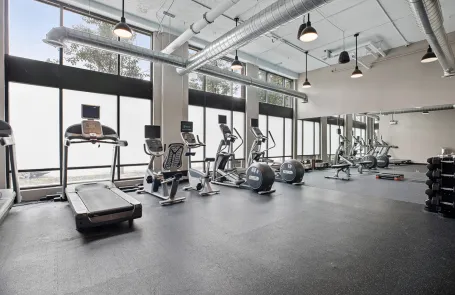 1 Bedroom South Loop Apartment