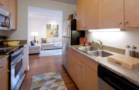 1 Bedroom River North Apartment