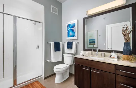 1 Bedroom River North Apartment