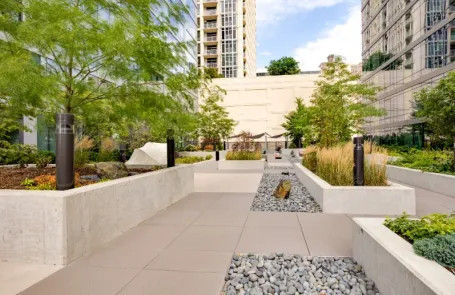 1 Bedroom South Loop Apartment