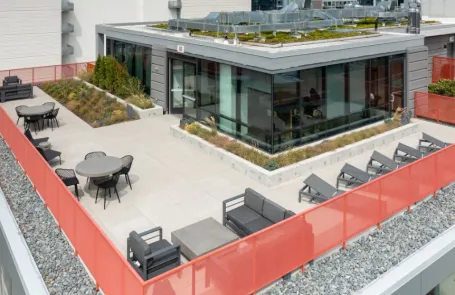 1 Bedroom South Loop Apartment