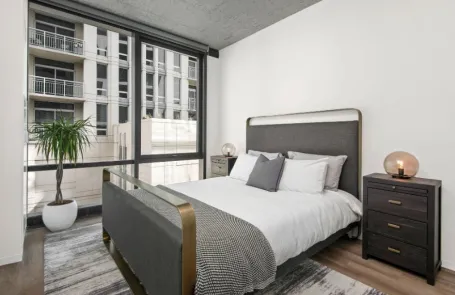 1 Bedroom South Loop Apartment