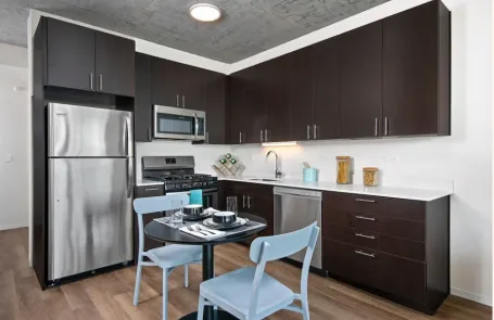 1 Bedroom South Loop Apartment