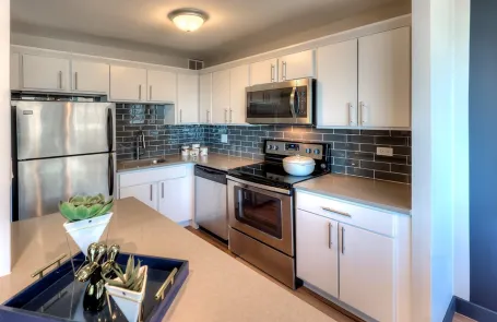 2 Bedroom South Loop Apartment
