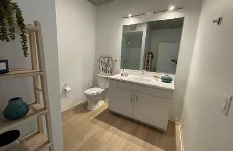 1 Bedroom South Loop Apartment